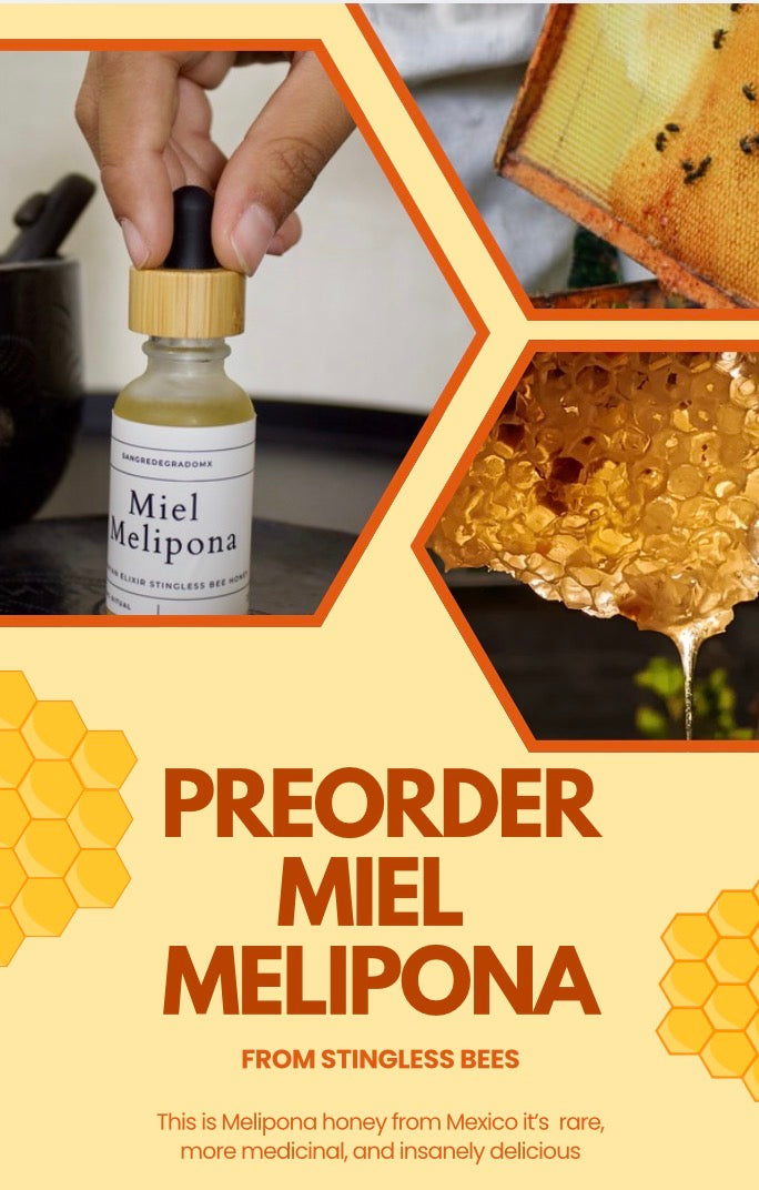 Miel Melipona Ancestral  Spring  2026🐝 (Preorder) Ships April 24